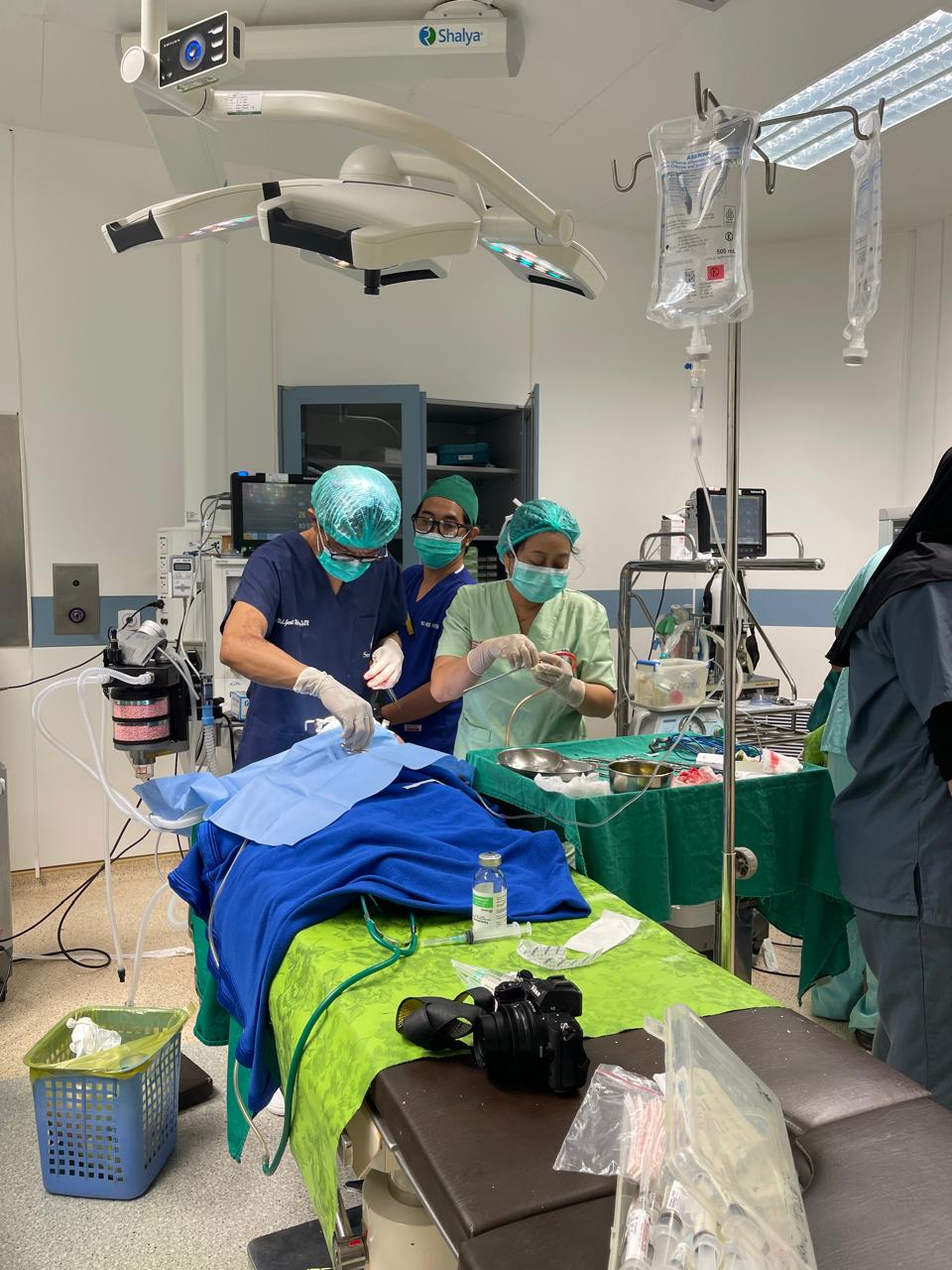 1734015977_1732872575_WhatsApp Image 2024-11-29 at 15.31.20 (2).jpeg